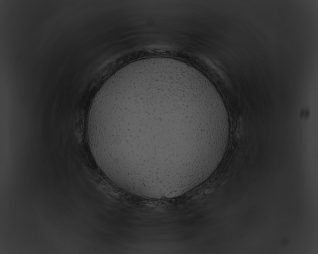 X0000091861015200710031036