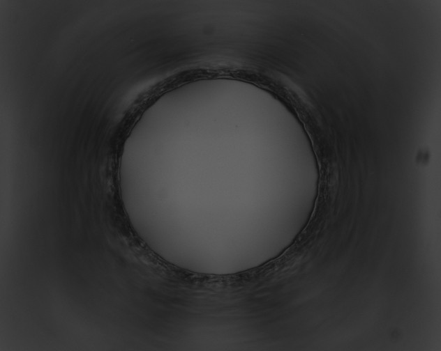 X0000091861016200710031036