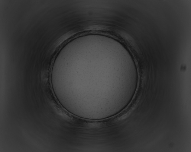 X0000091861017200710031036