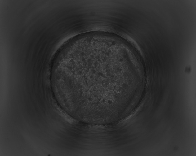 X0000091861019200710031036