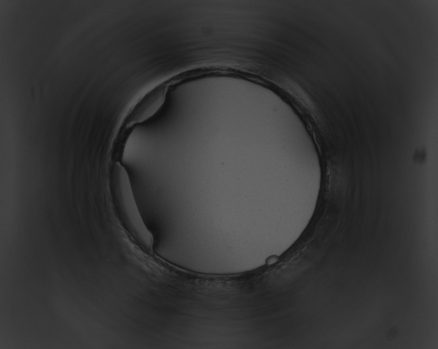 X0000091861020200710031036