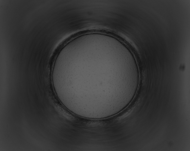 X0000091861021200710031036