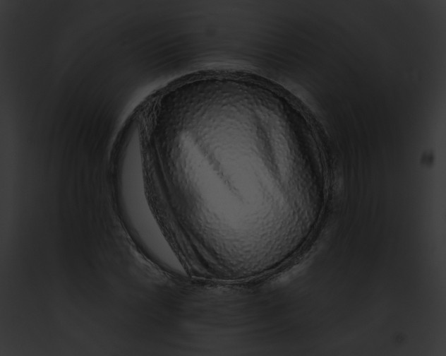 X0000091861022200710031036