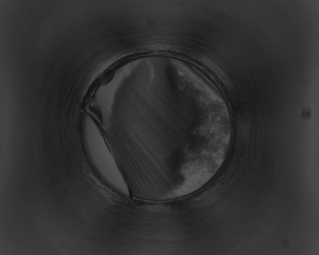 X0000091861023200710031036