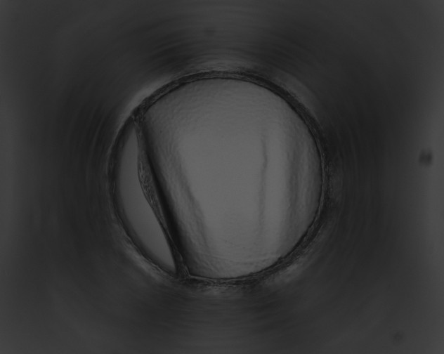 X0000091861026200710031036