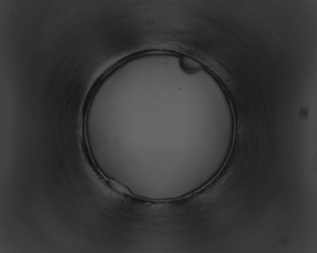 X0000091861028200710031036