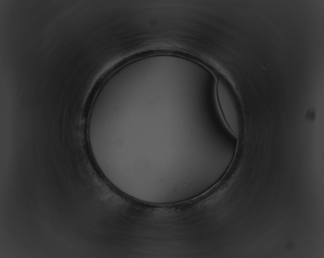 X0000091861029200710031036