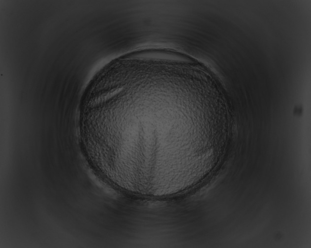 X0000091861030200710031036