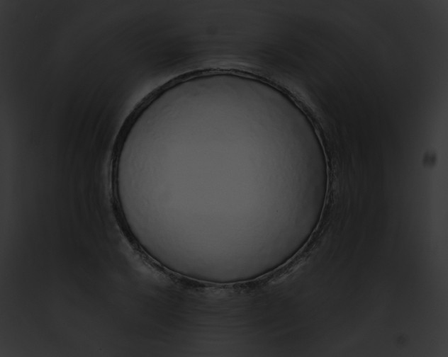 X0000091861032200710031036