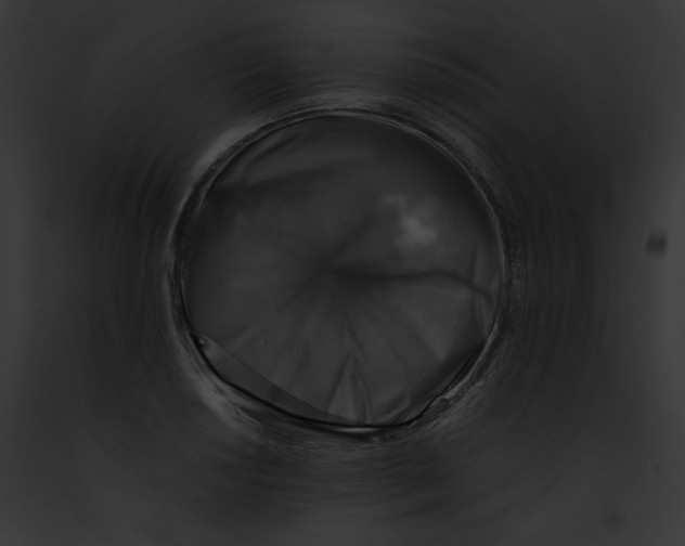 X0000091861034200710031036