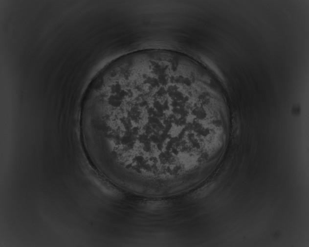 X0000091861035200710031036