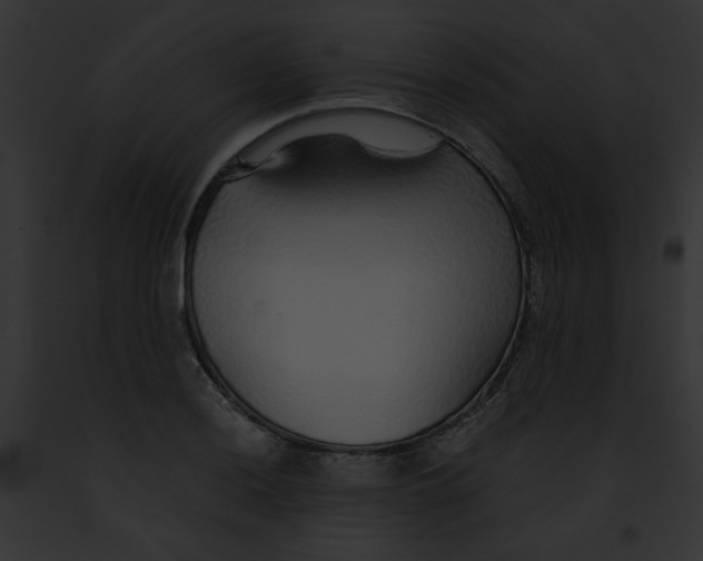 X0000091861036200710031036