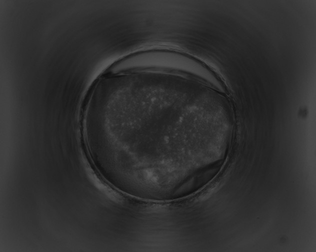 X0000091861038200710031036