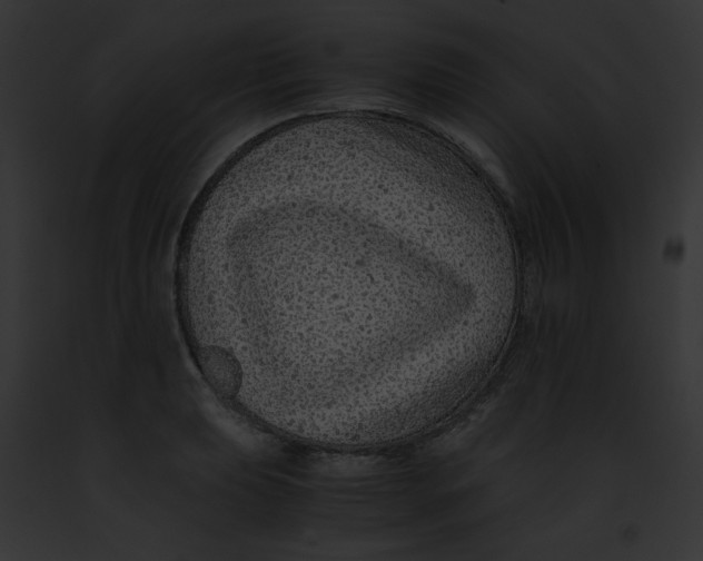 X0000091861039200710031036