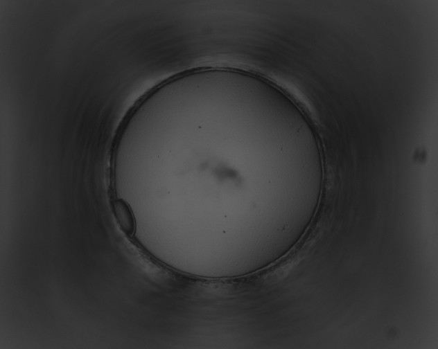 X0000091861040200710031036