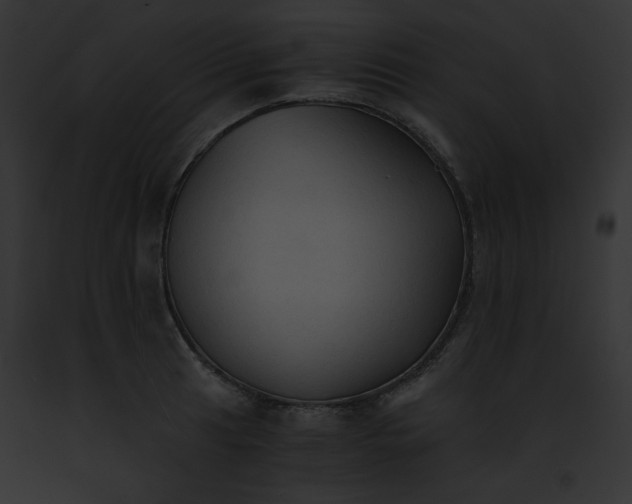 X0000091861041200710031036