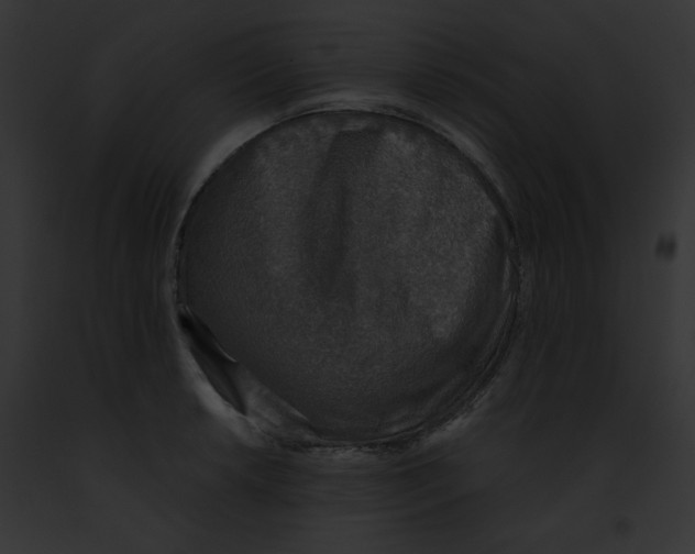 X0000091861042200710031036