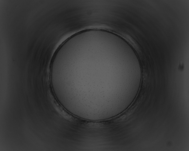 X0000091861044200710031036