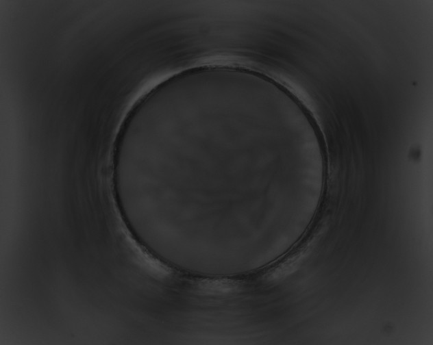 X0000091861045200710031036