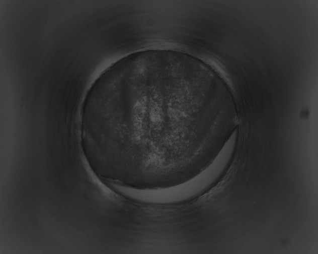 X0000091861046200710031036