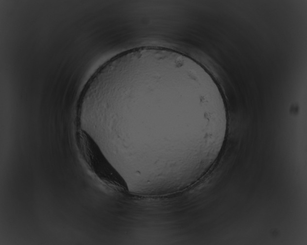 X0000091861048200710031036