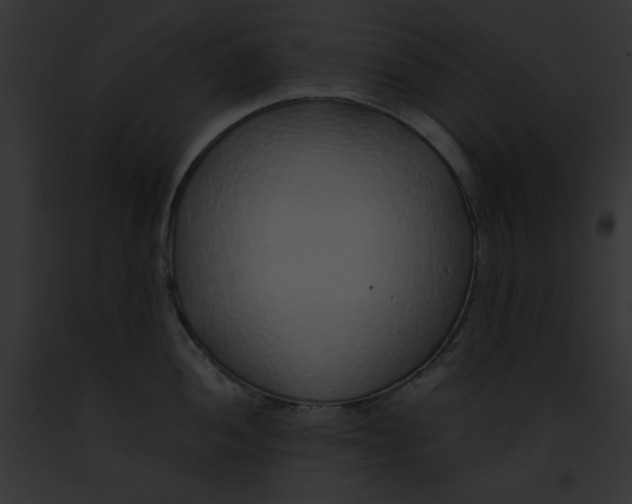 X0000091861052200710031036