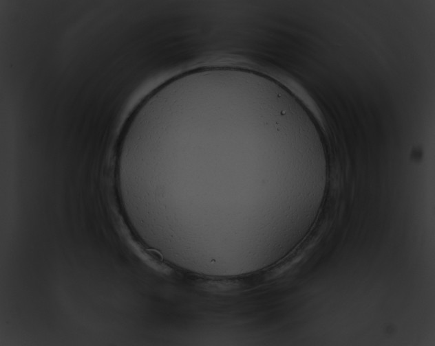 X0000091861053200710031036