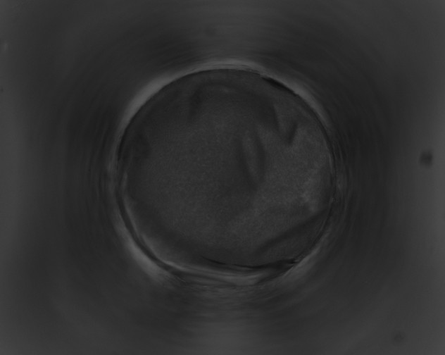 X0000091861054200710031036