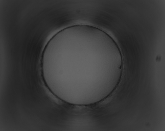 X0000091861056200710031036