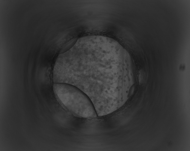 X0000091861059200710031036