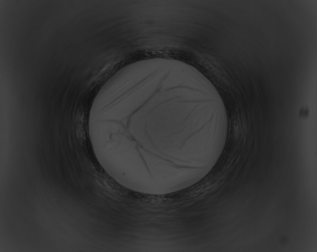 X0000091861060200710031036