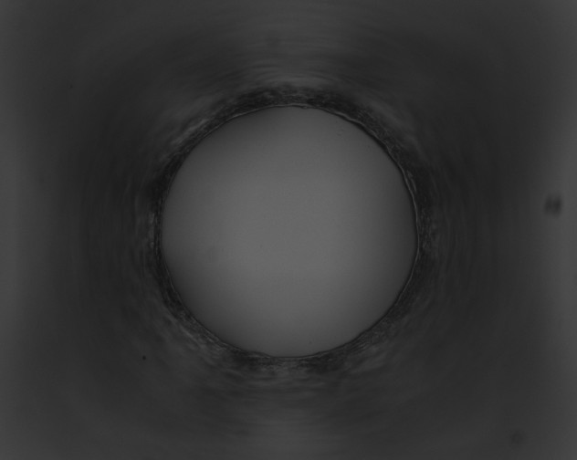 X0000091861061200710031035