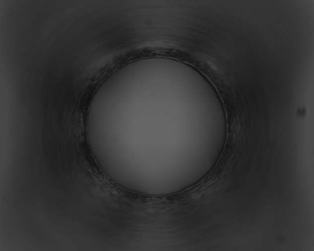 X0000091861062200710031035