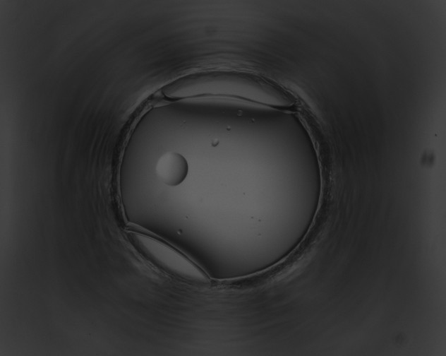 X0000091861065200710031035