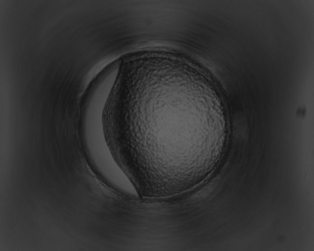 X0000091861066200710031035