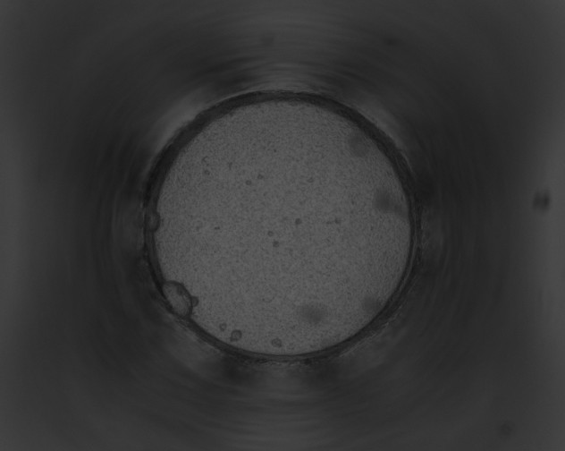 X0000091861067200710031035