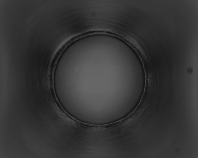 X0000091861068200710031035