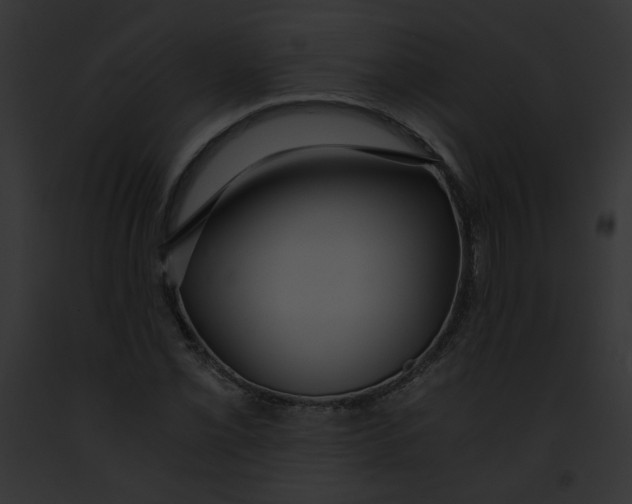 X0000091861069200710031035