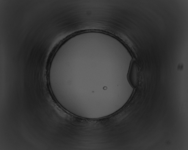 X0000091861072200710031035