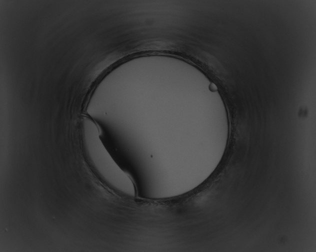 X0000091861073200710031035