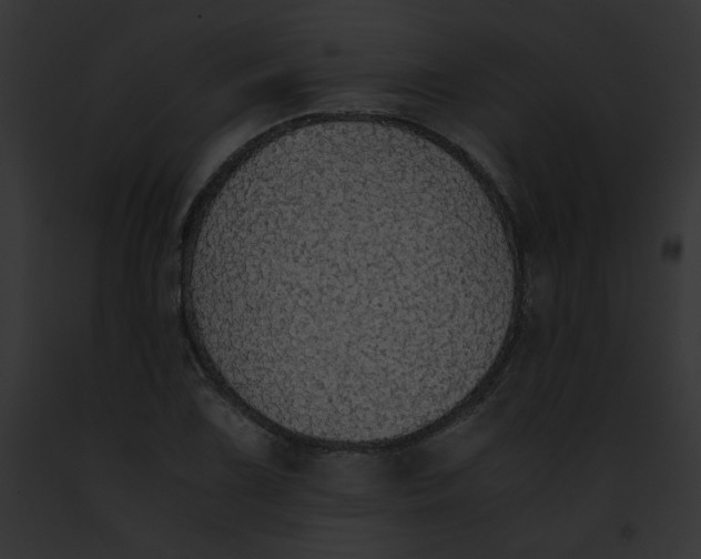 X0000091861075200710031035