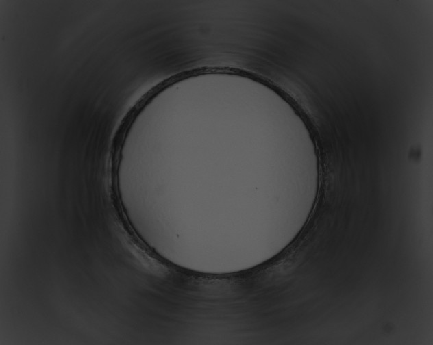 X0000091861076200710031035