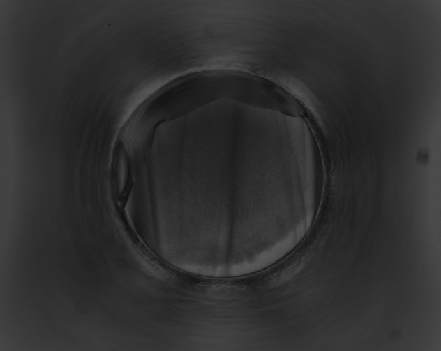 X0000091861077200710031035