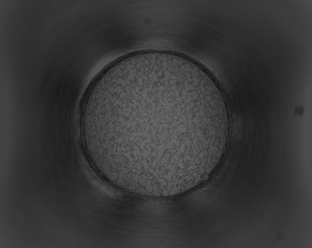 X0000091861078200710031035