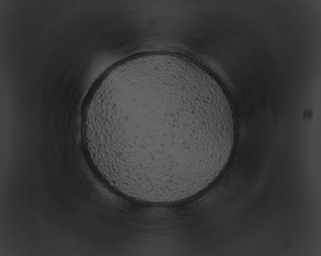 X0000091861079200710031035