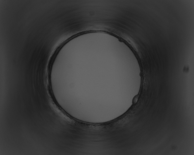 X0000091861080200710031035