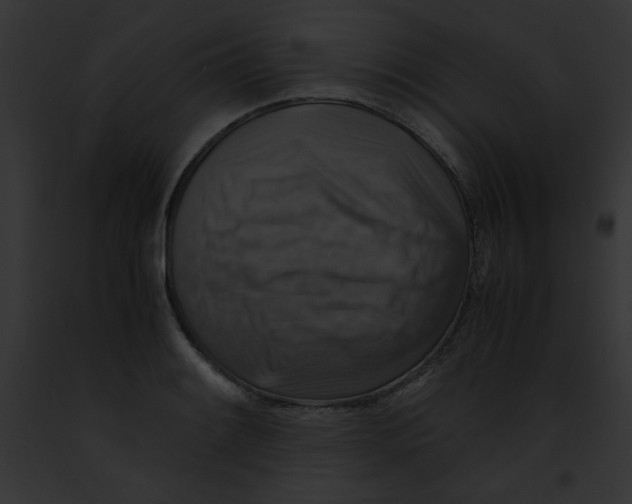 X0000091861084200710031035