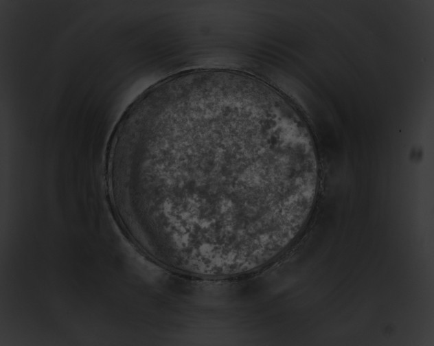 X0000091861087200710031035