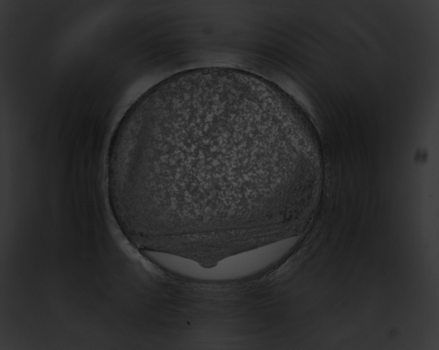 X0000091861088200710031035