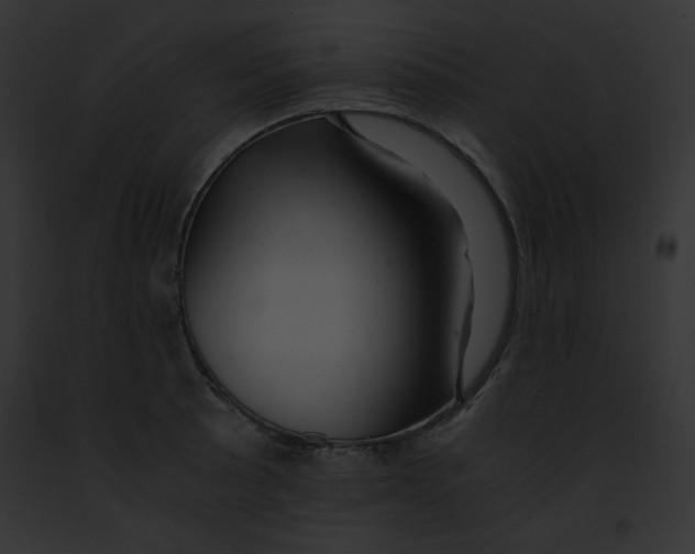 X0000091861089200710031035